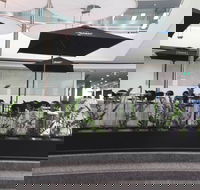 D Cafe - Tourism Caloundra