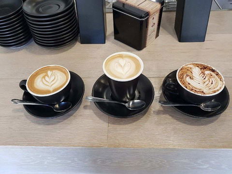Little Frenchie & Co - Tourism Caloundra 0