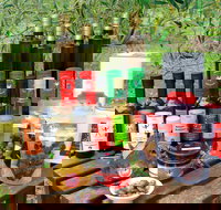 Manzanillo Grove - Tourism Caloundra