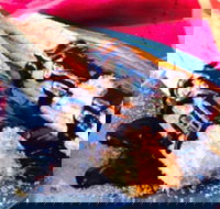 Donut King - Epping - Tourism Caloundra