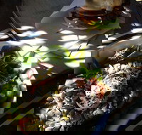 Good Cartel - Tourism Caloundra