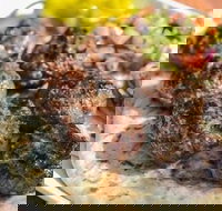 Kofte Co. - Tourism Caloundra