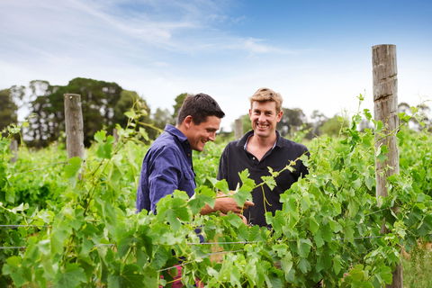 Shadowfax Winery - Tourism Caloundra 1