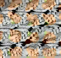 Sushi Pia - Tourism Caloundra