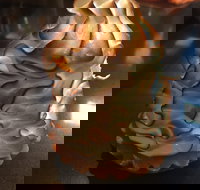 Mocha Bella - Tourism Caloundra