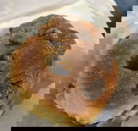 Five Star Bakery  Cafe - Tourism Caloundra