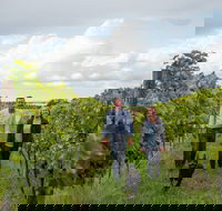Ross Hill Wines - Tourism Caloundra
