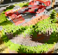 Runaway Cupcakes - Tourism Caloundra