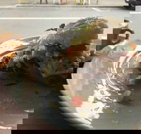 Little Advi - Tourism Caloundra