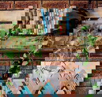 Wilderness Bar - Tourism Caloundra