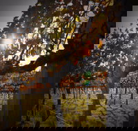 Pyramids Road Wines - Tourism Caloundra