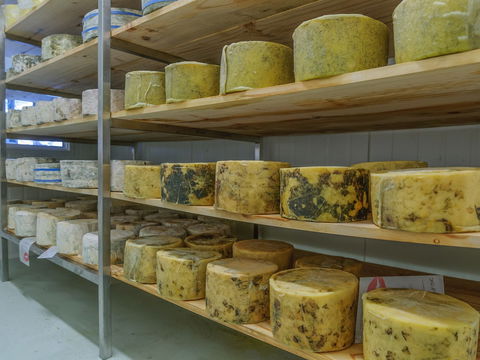 The Wicked Cheese Company - Tourism Caloundra 2