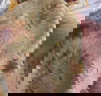 Zaika Tandoor - Tourism Caloundra