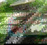 Lavender and Berry Farm Cafe - Tourism Caloundra