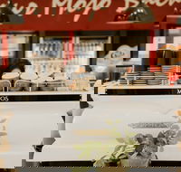 MOJOs in the Marketplace - Tourism Caloundra