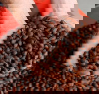 Zokoko Chocolate and Espresso Cafe - Tourism Caloundra