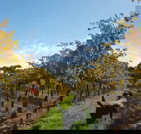 Ruddenklau Wines - Tourism Caloundra