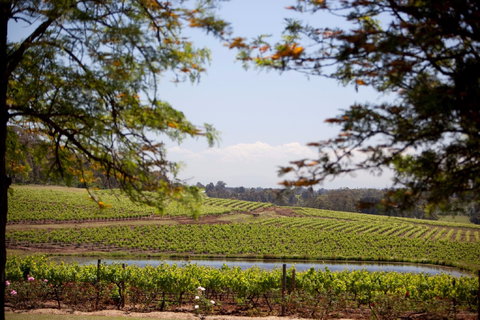 Wynwood Estate - Tourism Caloundra 0