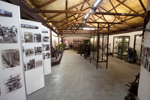 Wynwood Estate - Tourism Caloundra 1