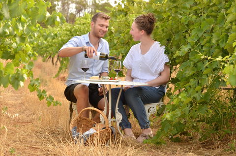 919 Wines - Tourism Caloundra 0