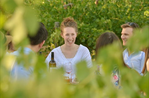 919 Wines - Tourism Caloundra 2