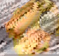 JFC - Tourism Caloundra