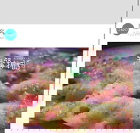 Cafe Invigor8 - Tourism Caloundra