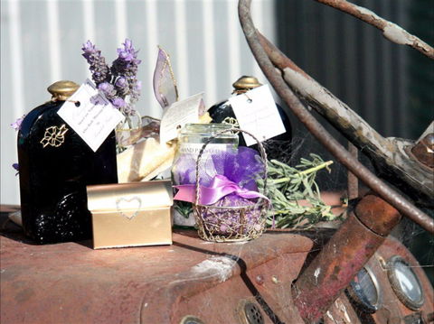 Langdale Farm - Tourism Caloundra 2