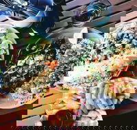 Luxe Fish - Tourism Caloundra