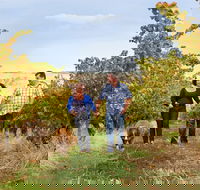 WayWood Wines - Tourism Caloundra