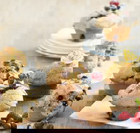 Modern Hunter - Tourism Caloundra