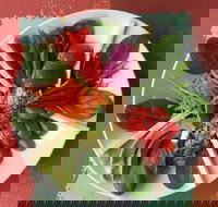 Olive Bus Clare - Tourism Caloundra