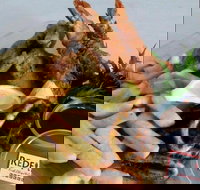 Redfish Fish Chips  Grill - Tourism Caloundra