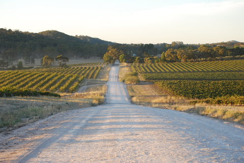 Stone Bridge Wines - Tourism Caloundra 0