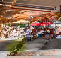 Henry  The Fox - Tourism Caloundra