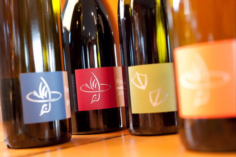 Puddleduck Vineyard - Tourism Caloundra 2