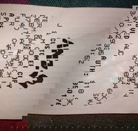 Bubba Pizza - Mount Barker - Tourism Caloundra