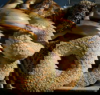 Criterion Tavern - Tourism Caloundra