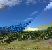 Freycinet Vineyard - Tourism Caloundra