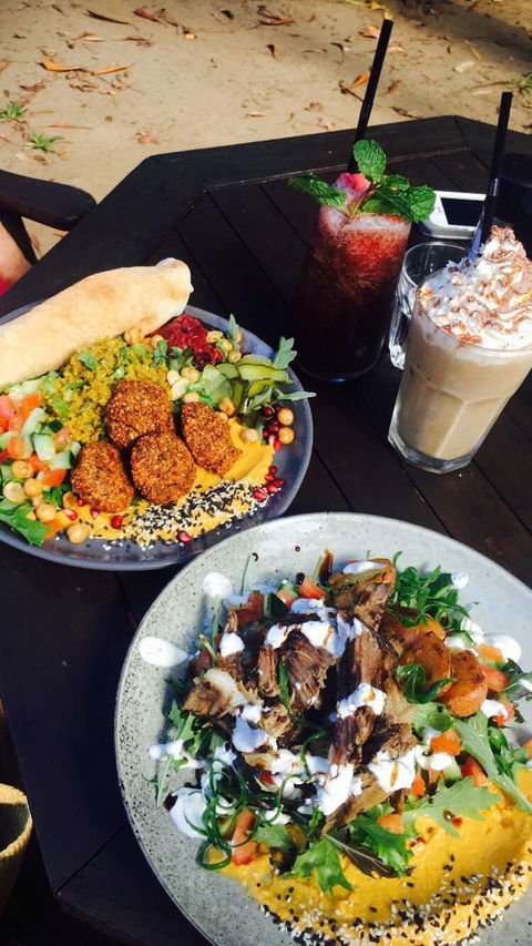 Rainforest Cafe Restaurant - Tourism Caloundra 0