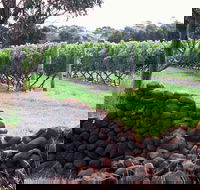 Spring Vale Vineyard - Tourism Caloundra