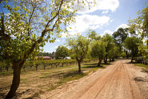 Tahbilk Winery And Vineyard - Tourism Caloundra 1