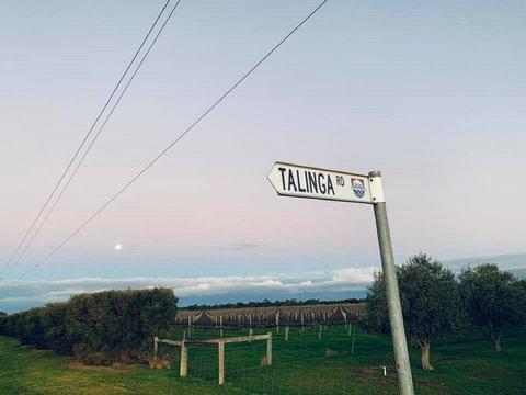 Talinga Grove - Tourism Caloundra 2