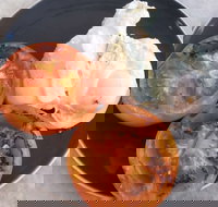 The Deck Poolside Bar  Restaurant - Tourism Caloundra