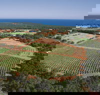 Wise Wine - Tourism Caloundra