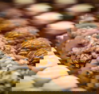 Challys Bar and Bistro - Tourism Caloundra