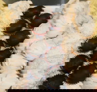 Uber Caf - Tourism Caloundra