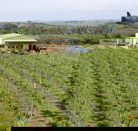 Dindima Wines - Tourism Caloundra