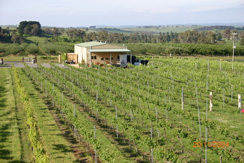 Dindima Wines - Tourism Caloundra 0
