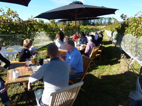 Dindima Wines - Tourism Caloundra 1